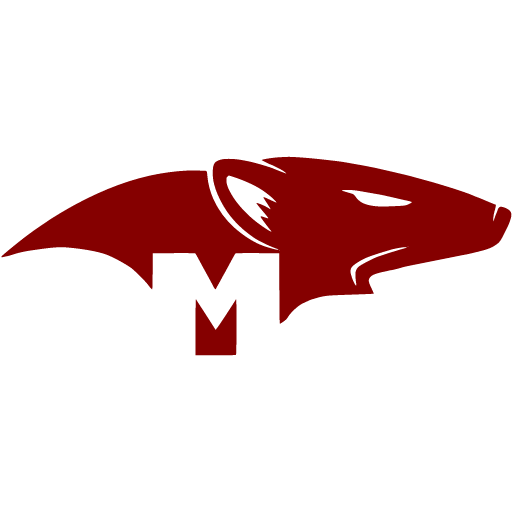 Mongoose.js
